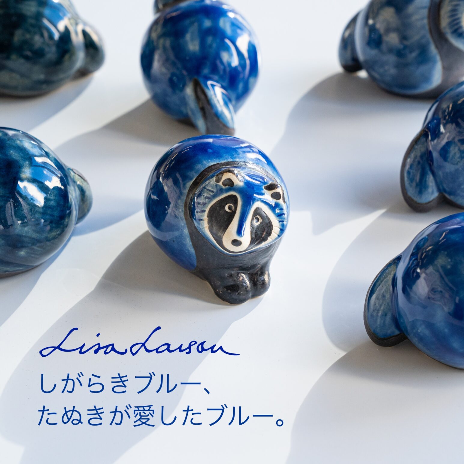 tanuki